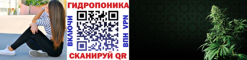 Виды наркоты Волгоград hydra как войти Меф мяу мяу ГАШИШ Конопля АМФ