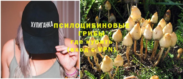 МДПВ Алзамай