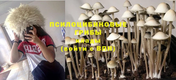 МДПВ Алзамай