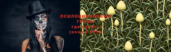 mix Алексеевка